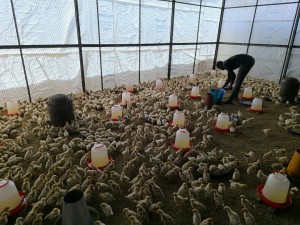 IMG-20250611-WA0024[1]